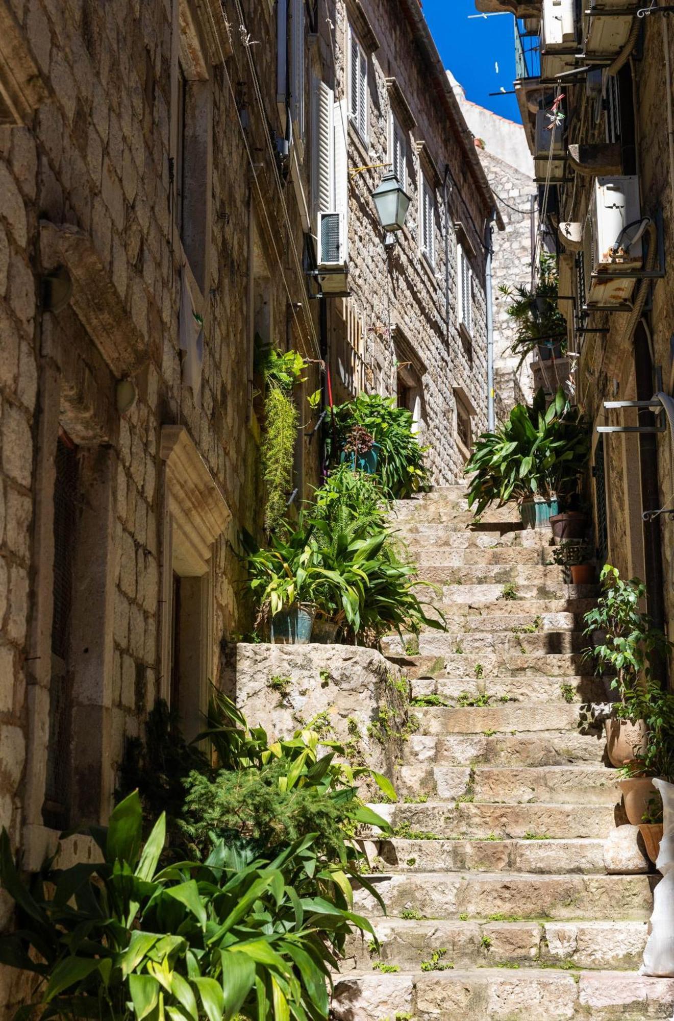 Siesta Ragusa Old Town Dubrovnik Exterior foto